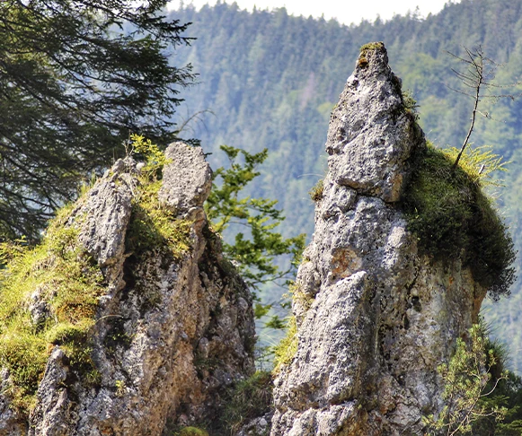 Skalne turnie porośnięte mchem, via ferrata Dwie Wieże na Słowacji
